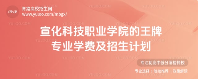 宣化科技职业学院的王牌专业