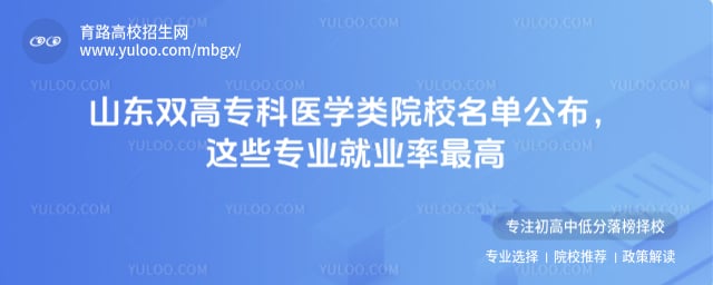 山东双高专科医学类院校名单