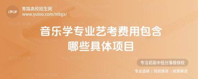 音樂學專業(yè)藝考費用