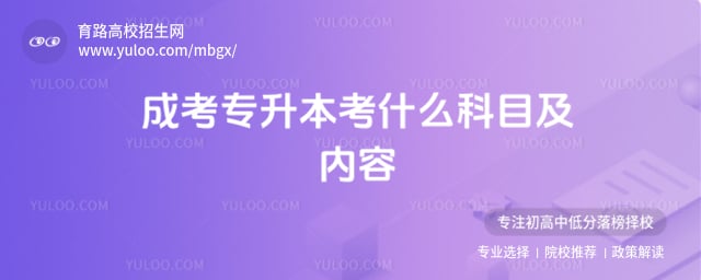 成考专升本考什么