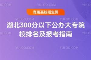 ����300�����¹����רԺУ����������ָ��