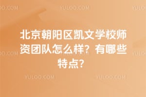 北京朝陽區(qū)凱文學(xué)校師資團(tuán)隊(duì)怎么樣？有哪些特點(diǎn)？