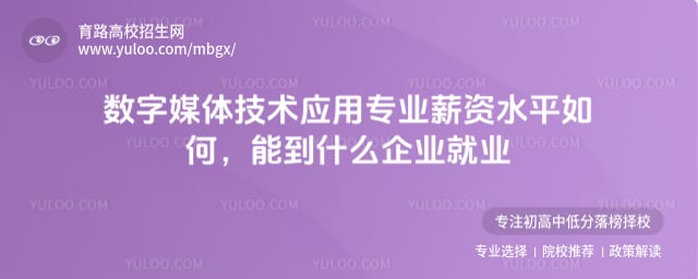 ����ý�弼��Ӧ��רҵн��ˮƽ