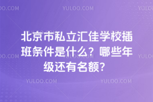 北京市私立汇佳学校2026年插班条件是什么？哪些年级还有名额？