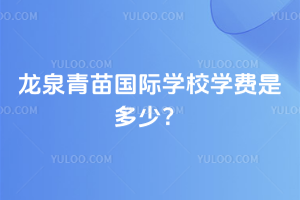 龙泉青苗国际学校2026年学费是多少？