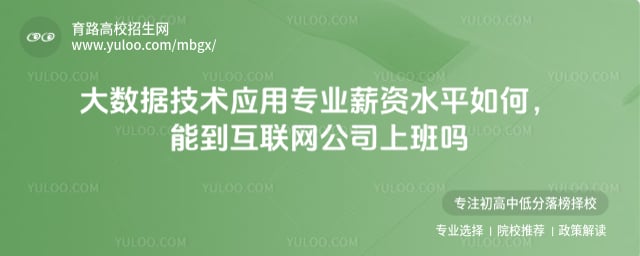 �����ݼ���Ӧ��רҵн��ˮƽ