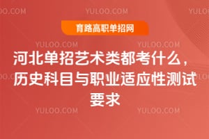 �ӱ����������඼��ʲô����ʷ��Ŀ��ְҵ��Ӧ�Բ���Ҫ��