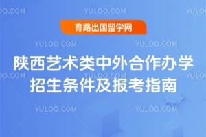 2026年陕西艺术类中外合作办学招生条件及报考指南