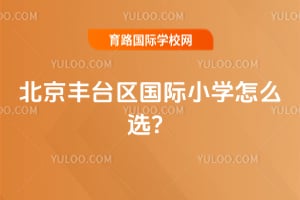 2026年北京丰台区国际小学怎么选?