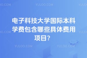 电子科技大学国际本科学费包含哪些具体费用项目？