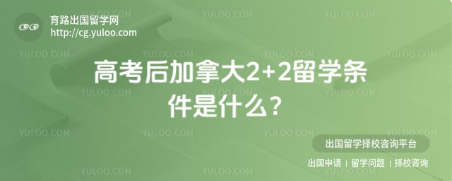 �߿�����ô�2+2��ѧ����