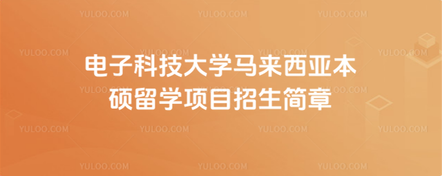 电子科技大学本硕留学招生简章