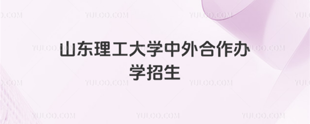 山东理工大学中外合作办学招生简章