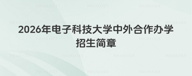 电子科技大学中外合作办学招生简章