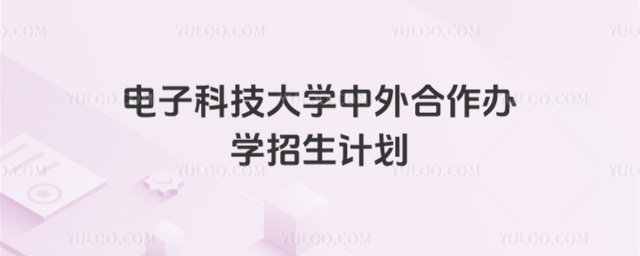 电子科技大学中外合作办学招生