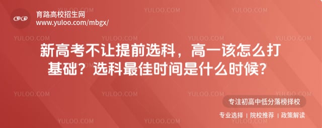 新高考选科