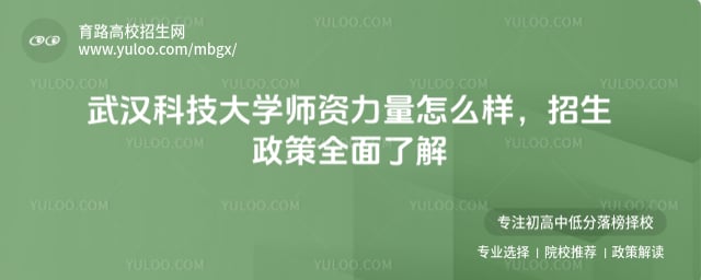 武汉科技大学师资力量怎么样