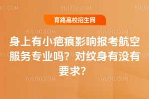 ������С�̺�Ӱ�챨�����շ���רҵ�𣿶�������û��Ҫ��