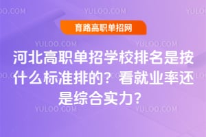 �ӱ���ְ����ѧУ�����ǰ�ʲô��׼�ŵģ�����ҵ�ʻ����ۺ�ʵ����