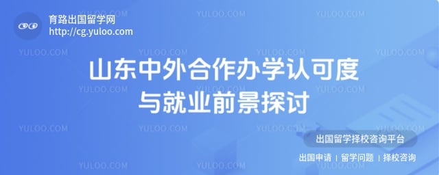 山东中外合作办学认可度