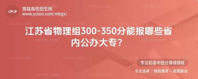 江苏物理组300-350分公办大专