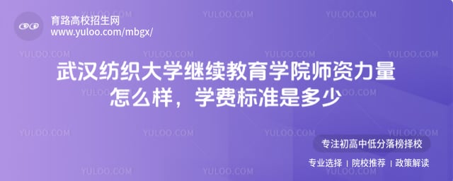 武汉纺织大学继续教育学院师资力量怎么样