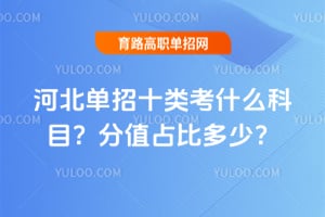 �ӱ�����ʮ�࿼ʲô��Ŀ����ֵռ�ȶ��٣�