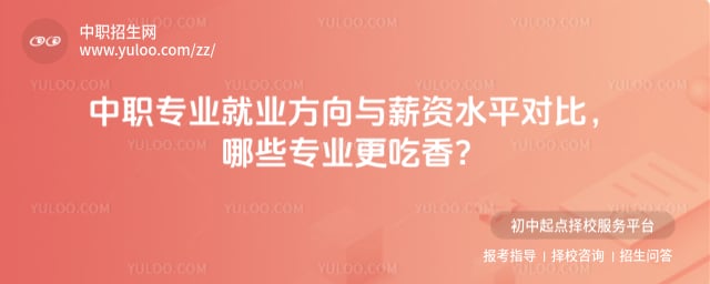 ��ְרҵ��ҵ������н��ˮƽ�Ա�