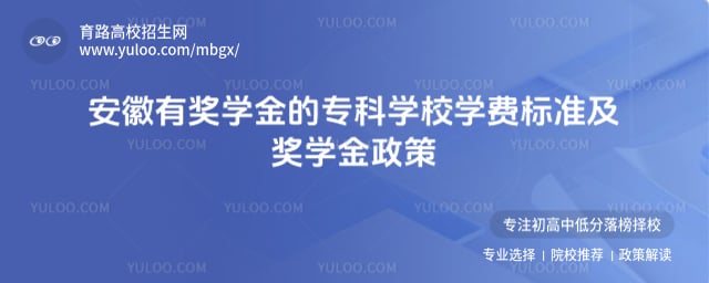 安徽有奖学金的专科学校