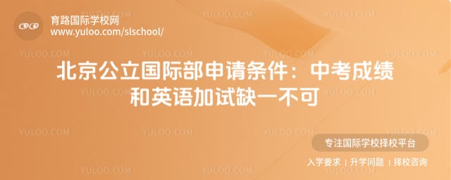 �����������ʲ���������