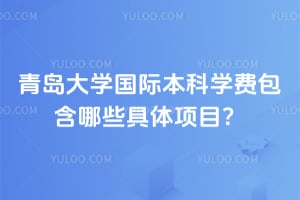 青岛大学国际本科学费包含哪些具体项目？
