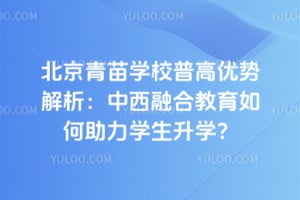 北京青苗学校普高优势解析：中西融合教育如何助力学生升学？