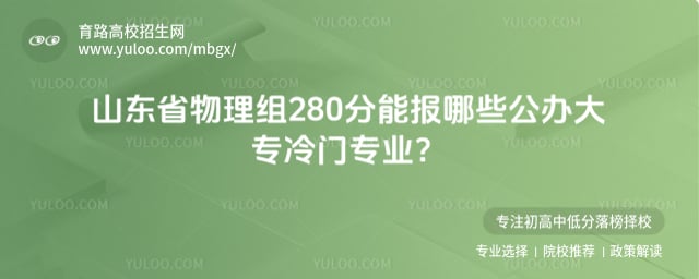 山东280分公办大专