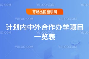 2026年计划内中外合作办学项目一览表