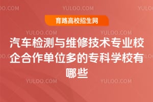 汽车检测与维修技术专业校企合作单位多的专科学校有哪些?