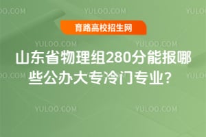 山东省物理组280分能报哪些公办大专冷门专业?