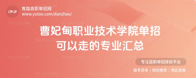 曹妃甸职业技术学院单招可以走的专业