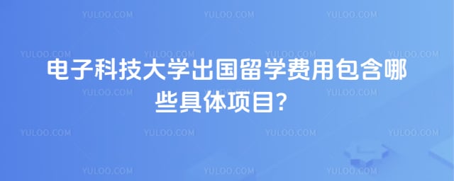 电子科技大学出国留学费用
