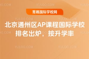 2026�걱��ͨ����AP�γ̹���ѧУ������¯������ѧ��