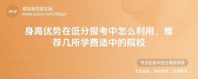 ���������ڵͷֱ�������ô����