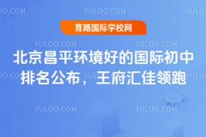 ������ƽ�����õĹ��ʳ���2026�����������������������