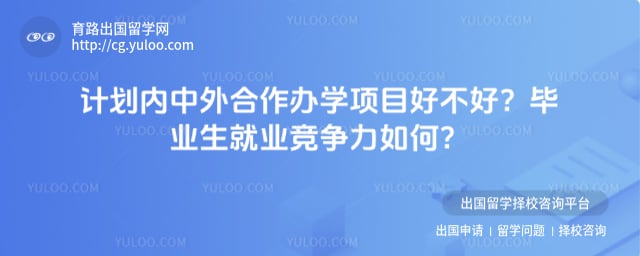计划内中外合作办学项目好不好