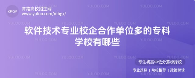 软件技术专业校企合作单位多的专科学校