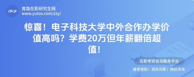 电子科技大学中外合作办学价值高吗