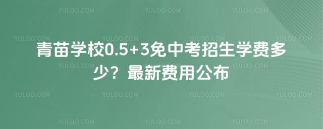 ����ѧУ0.5+3���п�����