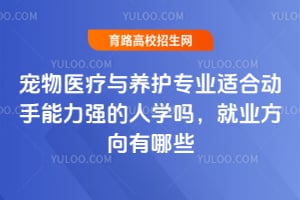 ����ҽ��������רҵ�ʺ϶�������ǿ����ѧ�𣿾�ҵ��������Щ��