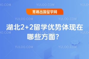 ����2+2��ѧ������������Щ���棿