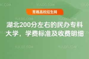 ����200�����ҵ����ר�ƴ�ѧ��ѧ�ѱ�׼���շ���ϸ