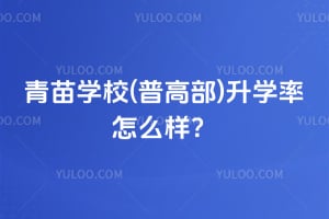 2026年青苗学校(普高部)升学率怎么样？