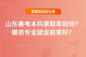 山东春考本科录取率如何?哪些专业就业前景好?